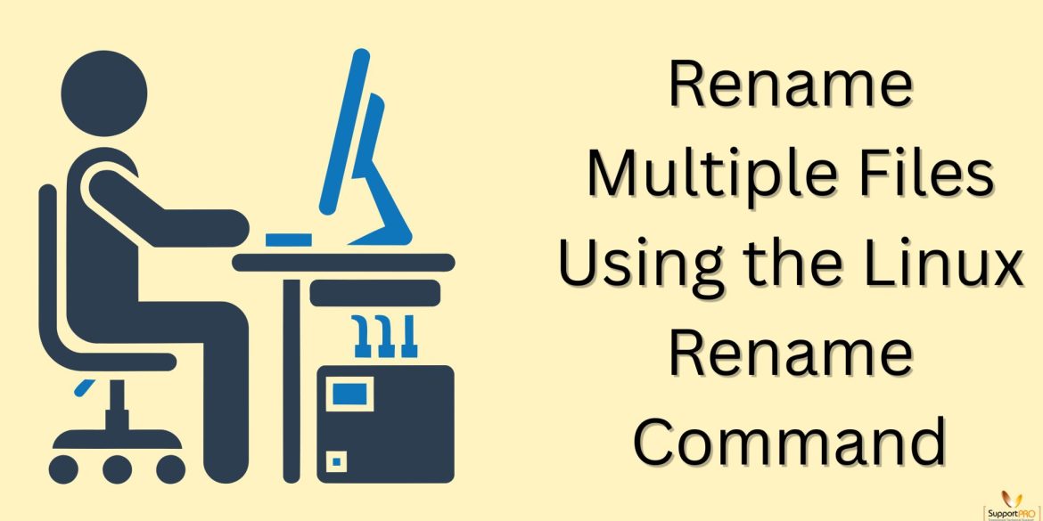 Rename Multiple Files Using the Linux Rename Command