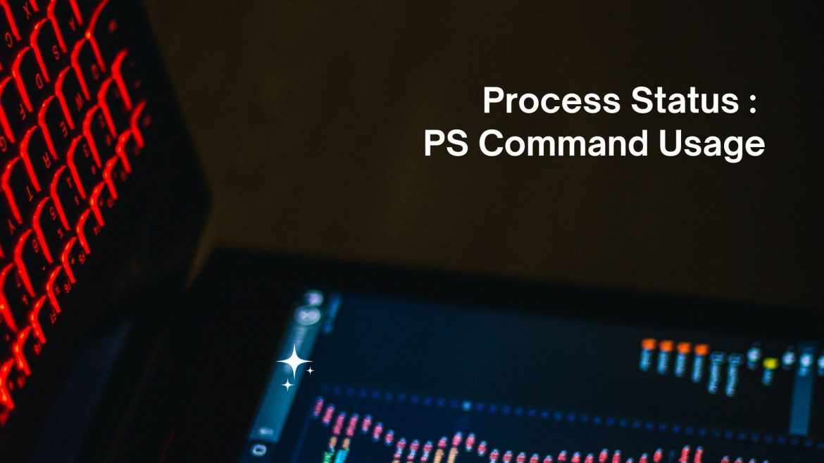 Process Status : PS Command Usage | Server Management Tips