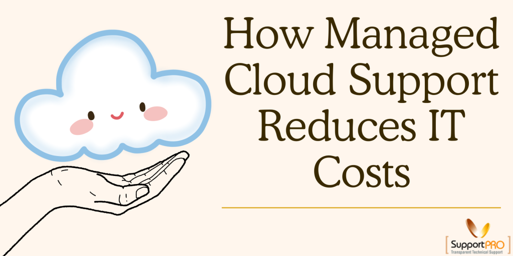 How Managed Cloud Support Reduces IT Costs
